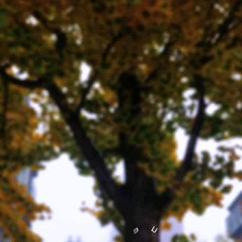 合缘物业永新里社区 11 🈷️份工作汇报