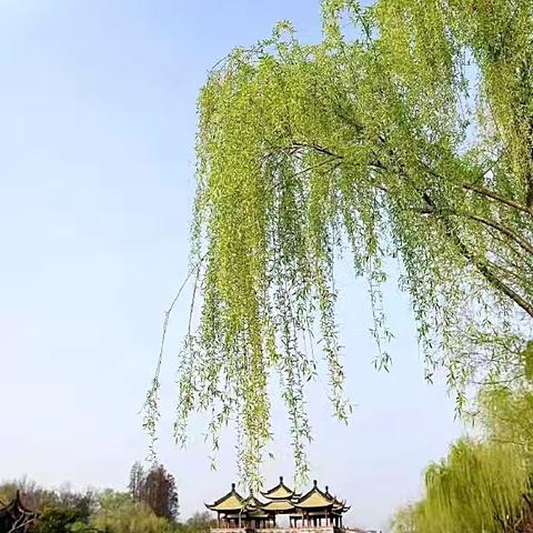 合缘物业永新里社区 2🈷️份工作简报