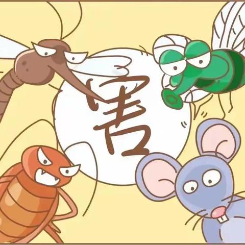 防制病媒生物，人人共享健康——【合肥市至德路幼儿园】