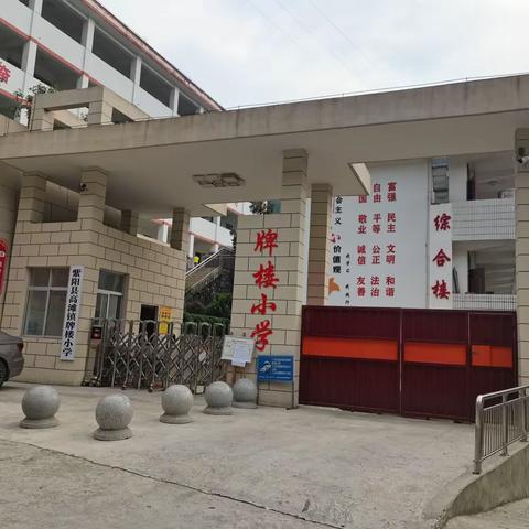 预防电信诈骗，共建平安校园  牌楼小学防电信网络诈骗宣传