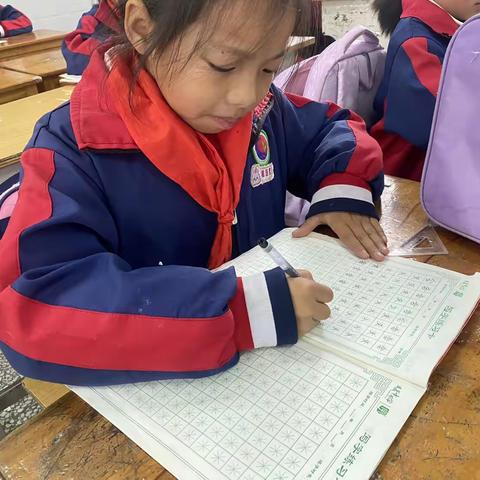 柏祥小学硬笔书法：笔墨间的成长之旅