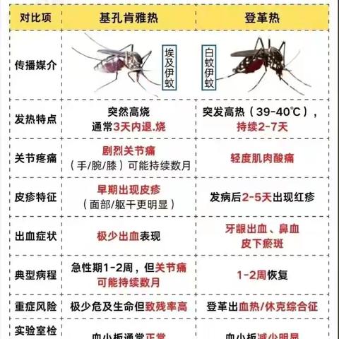 小手拉大手 共筑防蚊墙 ——江门市新会第四中学2026年做好春季虫媒传染病防控倡议书