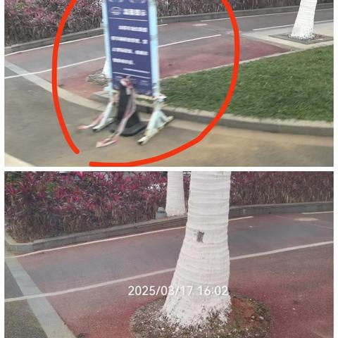 立行立改-海秀办尽锐出动对滨海大道进行集中整治行动