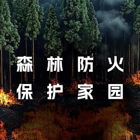 森林防火 从我做起——雨洒小学关于森林防火致家长的一封信