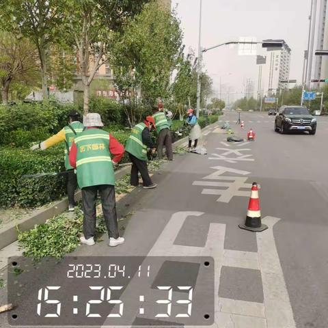 养护四标段百合园林4.11养护工作汇总