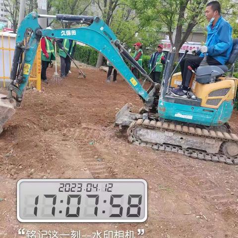 养护四标百合园林4.12养护工作汇总