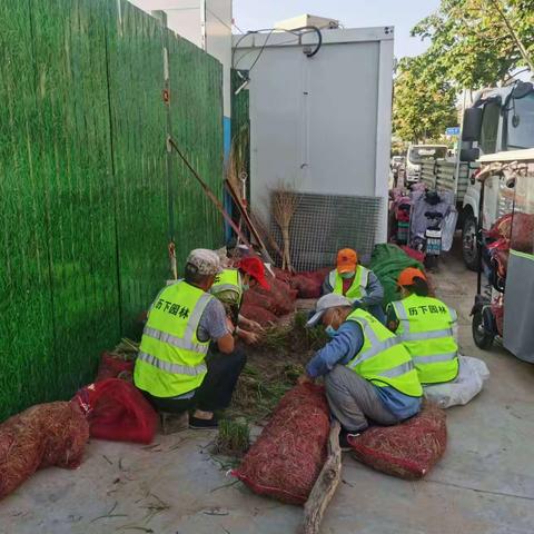 养护二标段百合园林6.22养护工作汇总