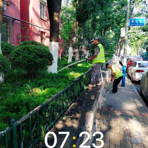 养护二标段百合园林6.24养护工作汇总