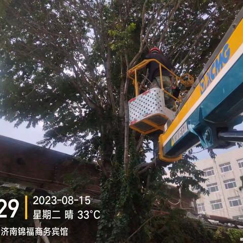 养护二标段百合园林8.15养护工作汇总