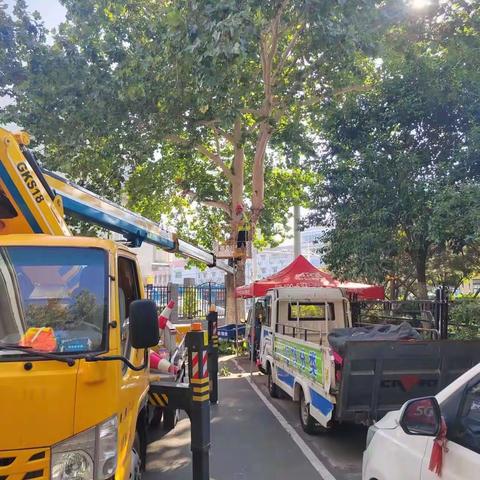 养护二标段百合园林8.16养护工作汇总