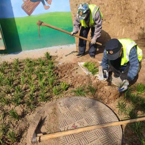 养护二标段百合园林9.29养护工作汇总