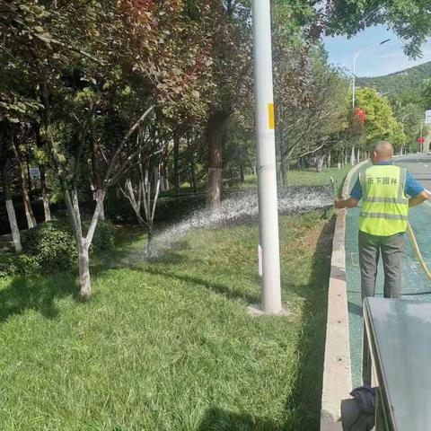 养护二标段百合园林9.30养护工作汇总
