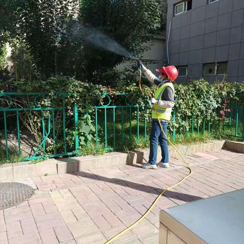 养护二标段百合园林10.1养护工作汇总