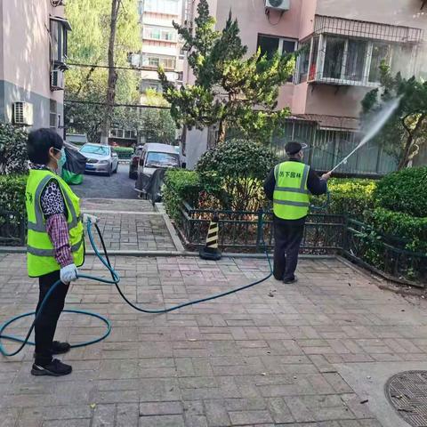 养护二标段百合园林10.2养护工作汇总