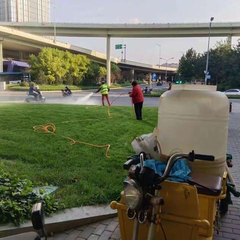 养护二标段百合园林10.3养护工作汇总