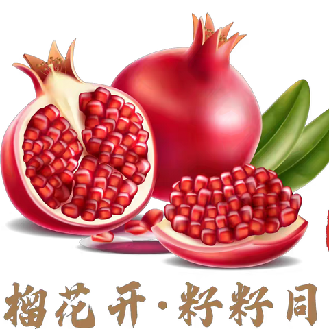 “红石榴”枝头绽放 好少年开启新程 ——东港市合隆乡中心小学2025届毕业典礼纪实