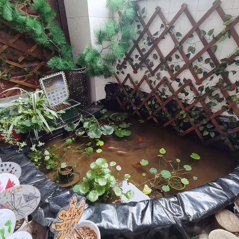 在交流中进步，在学习中提升～记观音中心园参观学习之旅