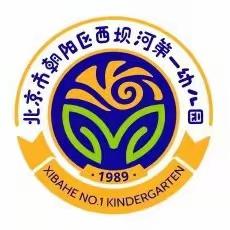 特级引领促成长，雏鹰助飞共提升——西坝河第一幼儿园特级教师进园活动