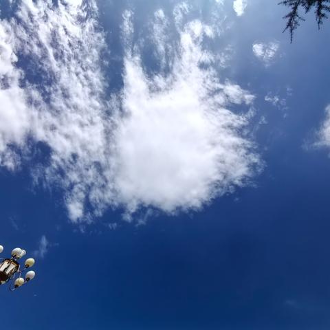 【蛇跃新程，实践点亮寒假】——三（2）班假期实践活动