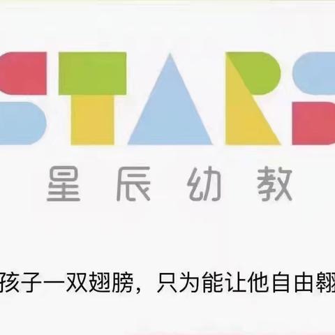 星辰幼儿园教师法律法规学习