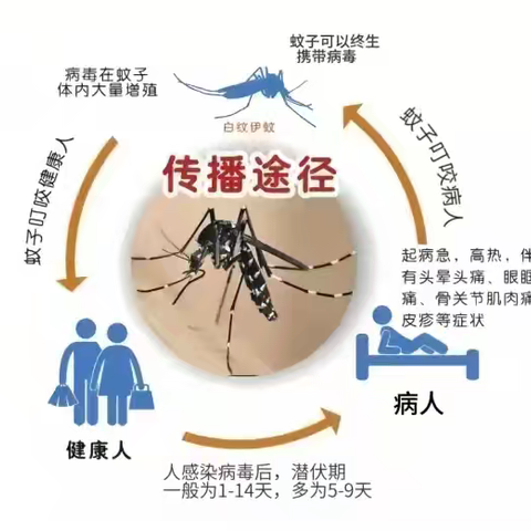 预防登革热·你我共防范——万宁市智慧星幼儿园登革热防控知识宣传