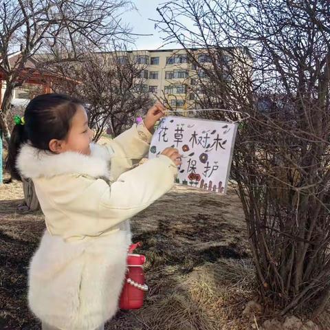 花草树木  我们来保护——城北幼儿园大班组植树节主题活动