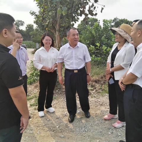 省农业农村厅党组成员吴明海到屯昌县调研豇豆质量监管情况