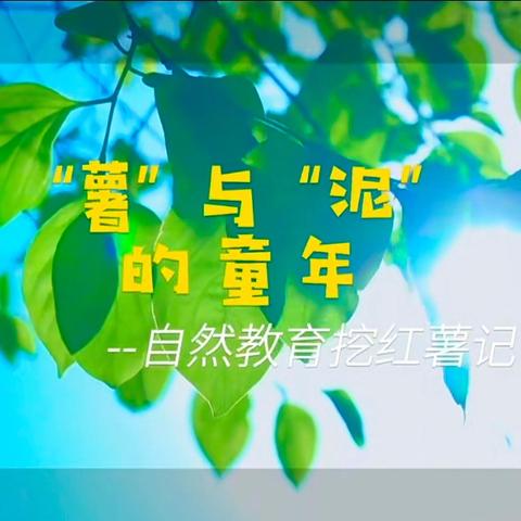 快乐“薯”与你——— 博雅幼儿园大一班秋季研学活动