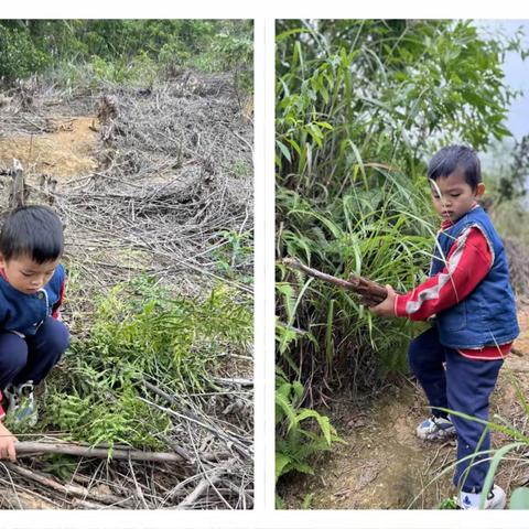 柳州市文惠路幼儿园~~中三班快乐“薯”于你