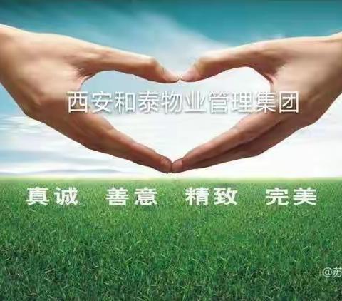 西安和泰物业管理集团有限公司苏家堡项目2024年2月份月报