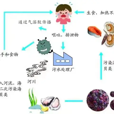 善谷儿科带你了解诺如病毒