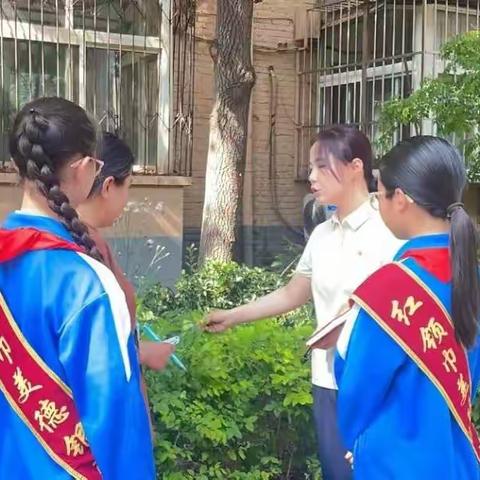寻访青春楷模   体验劳动价值