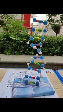 咸阳市育才田家炳中学第五届学科创新节之生物篇