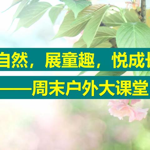 亲自然，展童趣，悦成长——周末户外大课堂