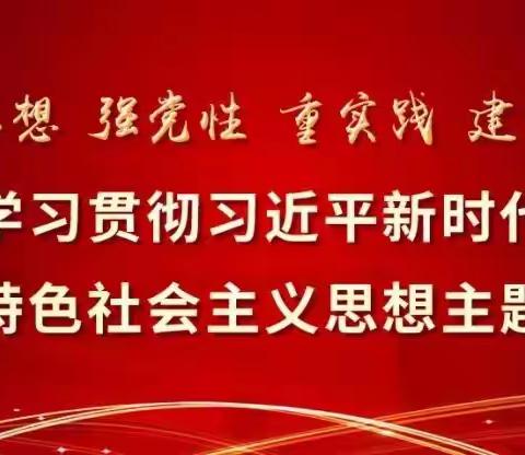 【书记课堂】辛兴党建工作区开展“坚持党建全面引领，激发村庄治理新活力”主题党课活动