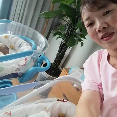 新生家政月嫂-简历