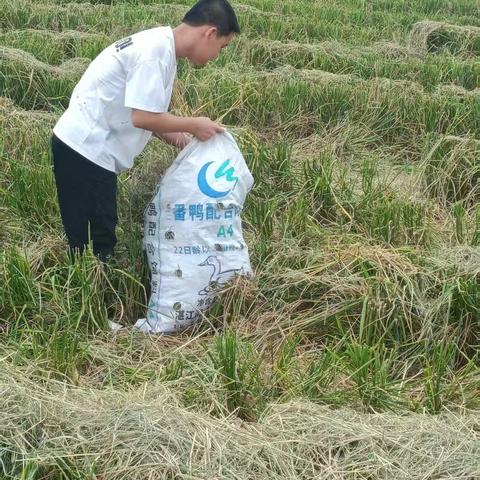田间耕劳知不易，家务动手学担当——陆川县横山镇良塘小学社会实践活动