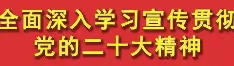 珍爱生命，预防溺水——大块二小防溺水主题宣传教育