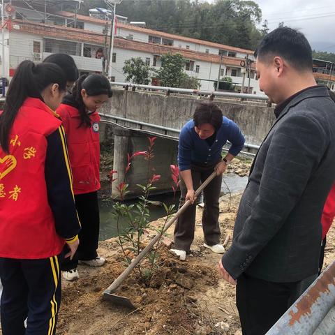 走在春天里，安全伴我行
 ——记双华镇军营小学安全教育宣传周系列活动