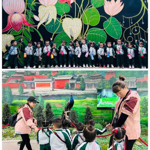 爱迪幼儿园“植物园🌳绿野仙踪”活动