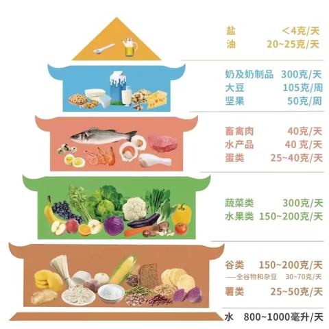 均衡营养 健康成长——沙后所中学膳食营养健康宣传教育