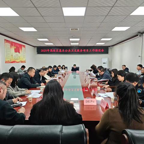 【工作推进】西安市高陵区卫健局召开2025年基本公卫项目工作推进会