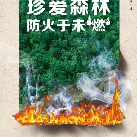 阿舍乡鲁都克小学致家长及学生们关于森林防火的一封信