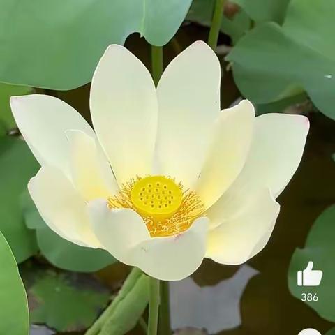经验共享   聚智提升