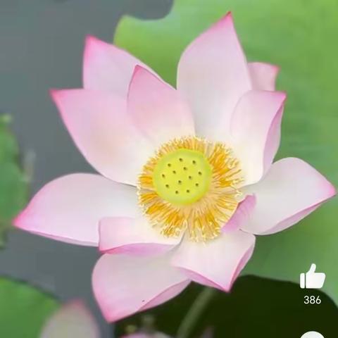 联合教研    携手成长