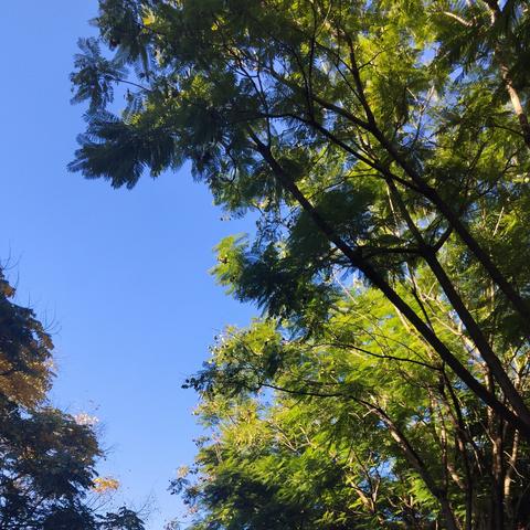 示范引领明方向 助力备考提质效