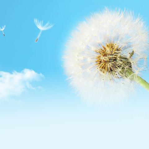 心“廉”心 绘清廉——党纪学习教育主题活动