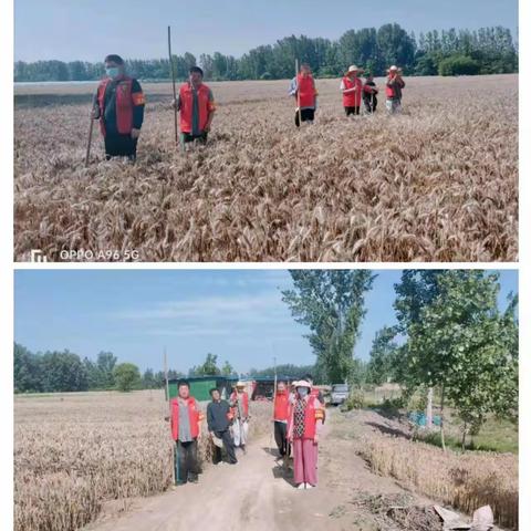 水稻乡网格员--坚守初心，为民服务