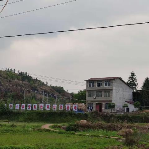 践行五育之劳动，实践基地显身手——凤亭小学“双减”之劳动实践基地锄草篇