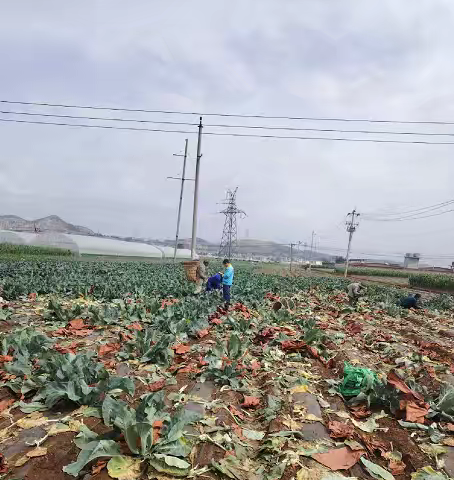 宣威程顺加油站外出开发非油客户